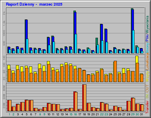 Raport Dzienny -  marzec 2025