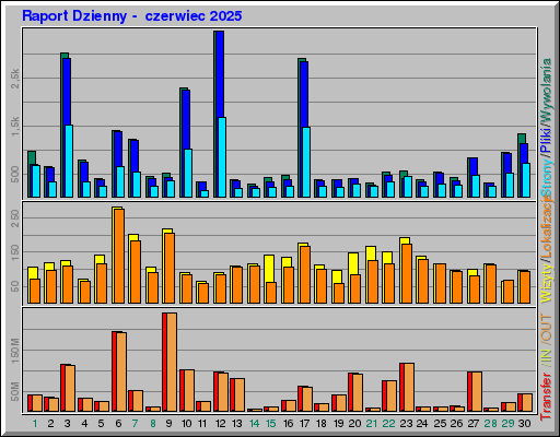 Raport Dzienny -  czerwiec 2025