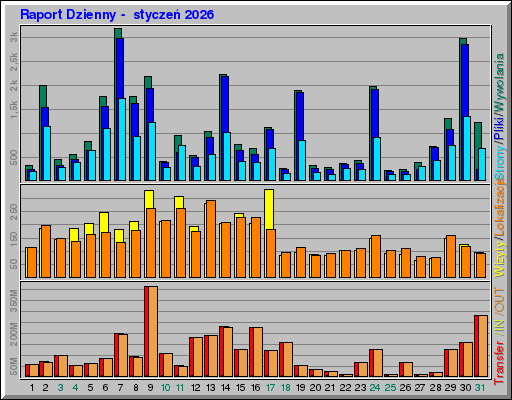 Raport Dzienny -  styczeń 2026