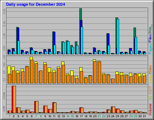 Raport Dzienny -  grudzień 2024