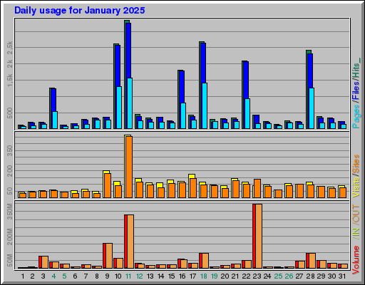 Raport Dzienny - styczeń 2025 Raport Dzienny - styczeń 2025