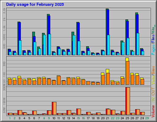 Raport Dzienny -  luty 2025