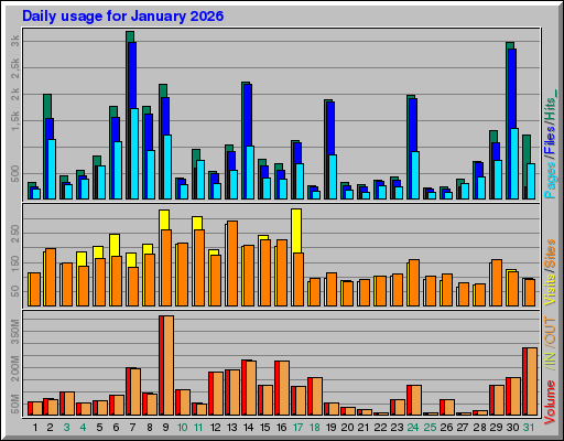 Raport Dzienny -  styczeń 2026