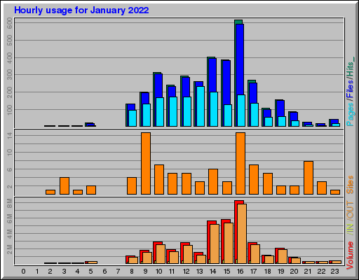 Raport Godzinowy -  styczeń 2022