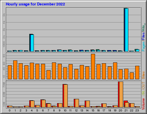 Raport Godzinowy -  grudzień 2022