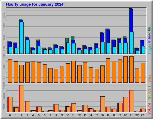Raport Godzinowy -  styczeń 2024