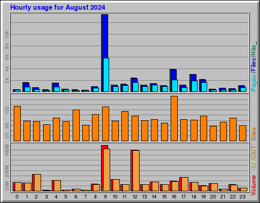 Raport Godzinowy - sierpień 2024 Raport Godzinowy - sierpień 2024