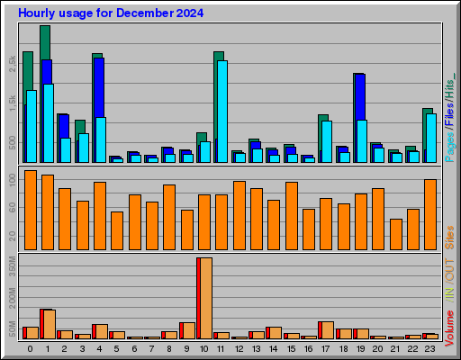 Raport Godzinowy -  grudzień 2024