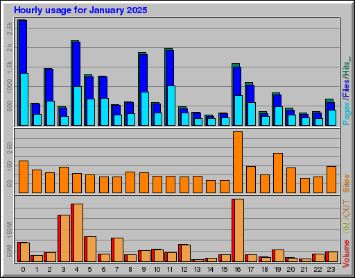 Raport Godzinowy - styczeń 2025 Raport Godzinowy - styczeń 2025
