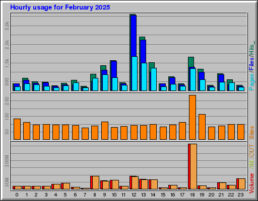 Raport Godzinowy -  luty 2025