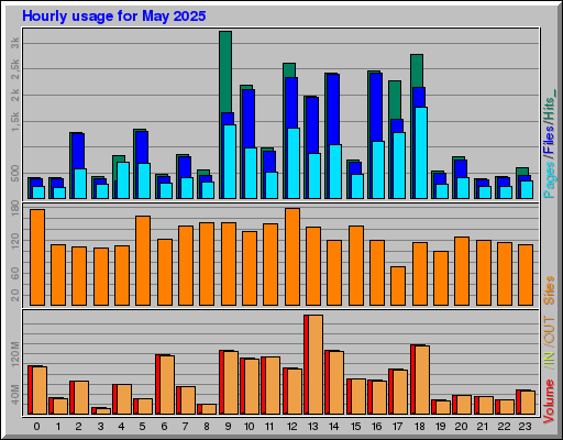 Raport Godzinowy -  Maj 2025