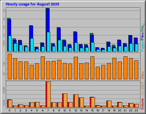 Raport Godzinowy -  sierpień 2025