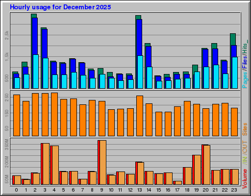 Raport Godzinowy -  grudzień 2025
