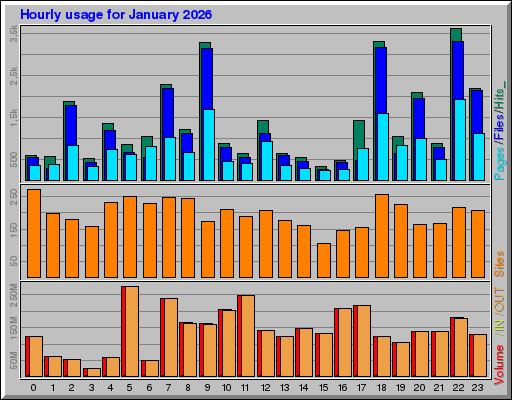 Raport Godzinowy -  styczeń 2026