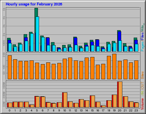 Raport Godzinowy -  luty 2026