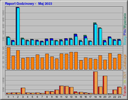 Raport Godzinowy -  Maj 2023