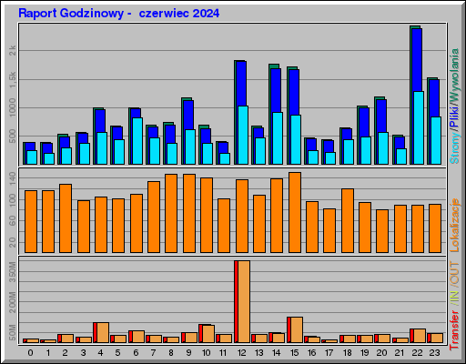 Raport Godzinowy -  czerwiec 2024