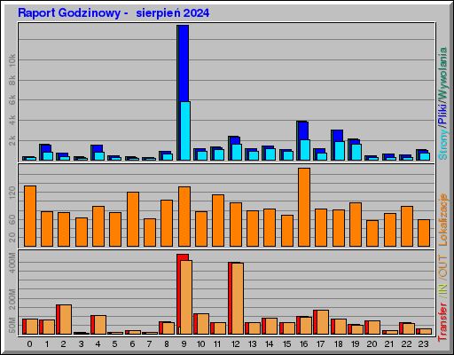 Raport Godzinowy -  sierpień 2024