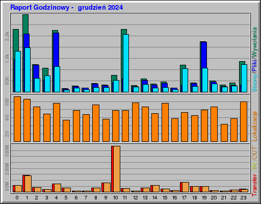 Raport Godzinowy -  grudzień 2024