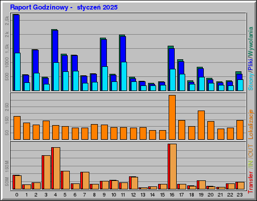 Raport Godzinowy -  styczeń 2025