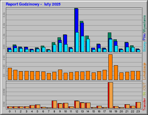 Raport Godzinowy -  luty 2025