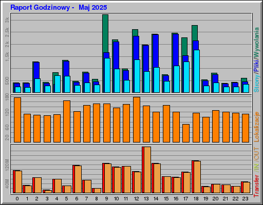Raport Godzinowy -  Maj 2025
