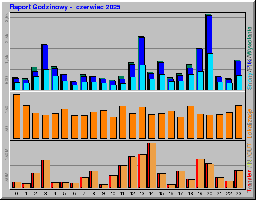 Raport Godzinowy -  czerwiec 2025