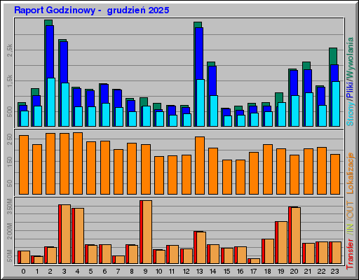Raport Godzinowy -  grudzień 2025