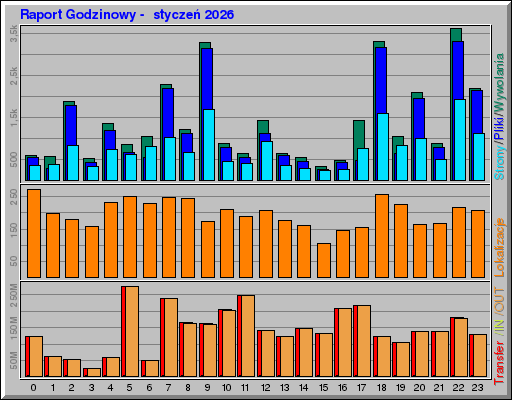 Raport Godzinowy -  styczeń 2026