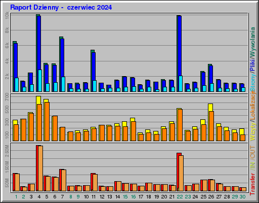 Raport Dzienny -  czerwiec 2024