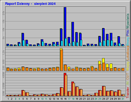 Raport Dzienny -  sierpień 2024