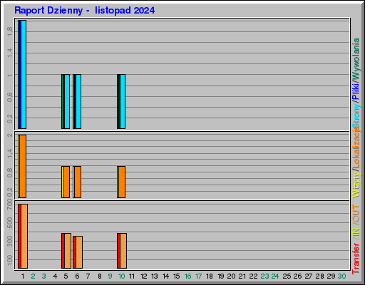 Raport Dzienny -  listopad 2024