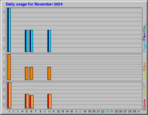 Raport Dzienny -  listopad 2024