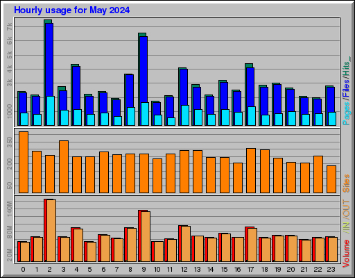 Raport Godzinowy -  Maj 2024