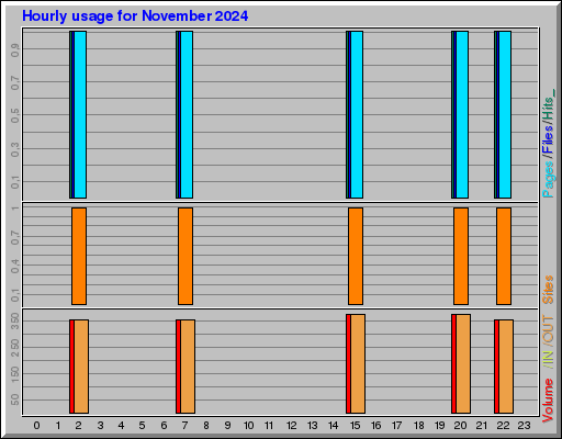 Raport Godzinowy -  listopad 2024