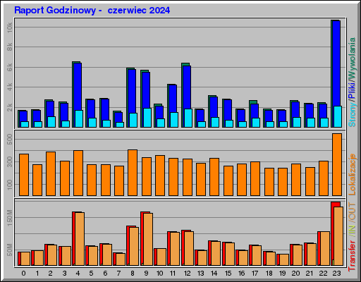 Raport Godzinowy -  czerwiec 2024