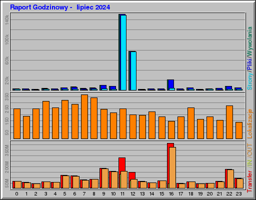 Raport Godzinowy -  lipiec 2024