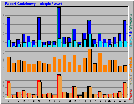 Raport Godzinowy -  sierpień 2024