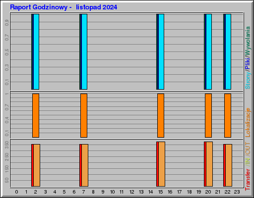 Raport Godzinowy -  listopad 2024