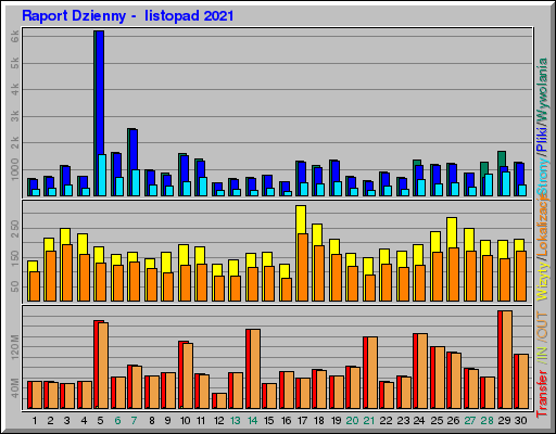Raport Dzienny -  listopad 2021