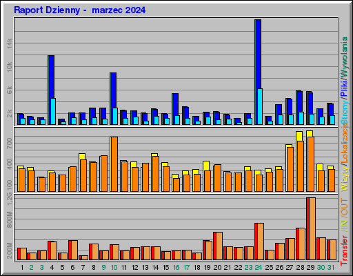 Raport Dzienny -  marzec 2024