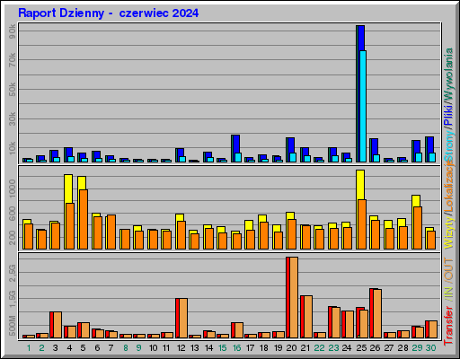 Raport Dzienny -  czerwiec 2024