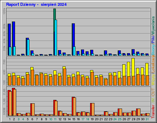 Raport Dzienny -  sierpień 2024