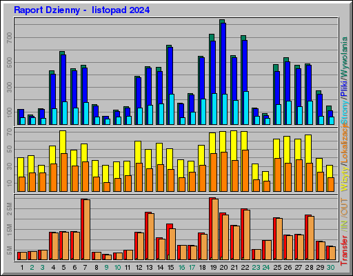 Raport Dzienny -  listopad 2024