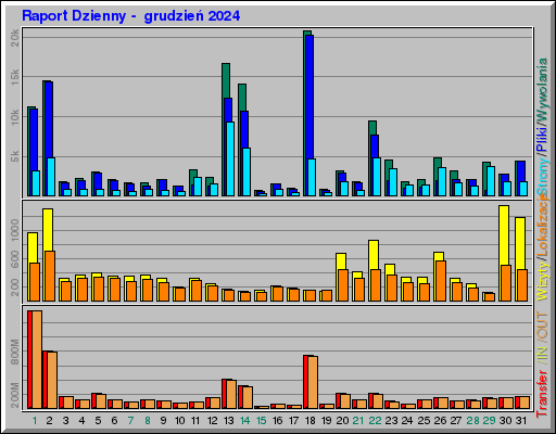 Raport Dzienny -  grudzień 2024