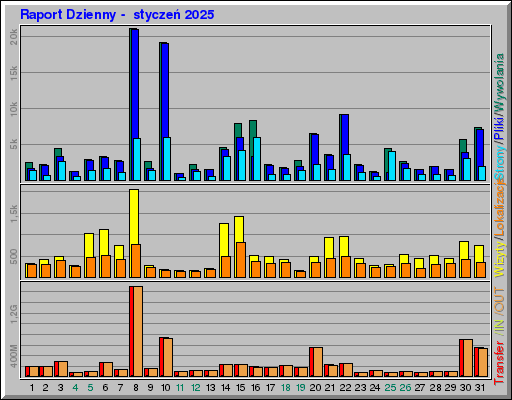 Raport Dzienny -  styczeń 2025
