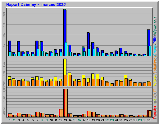 Raport Dzienny -  marzec 2025