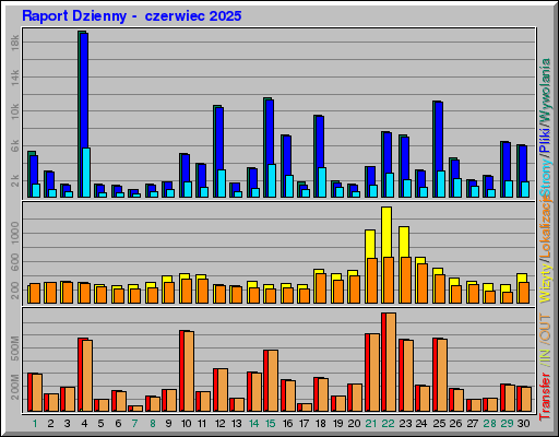 Raport Dzienny -  czerwiec 2025