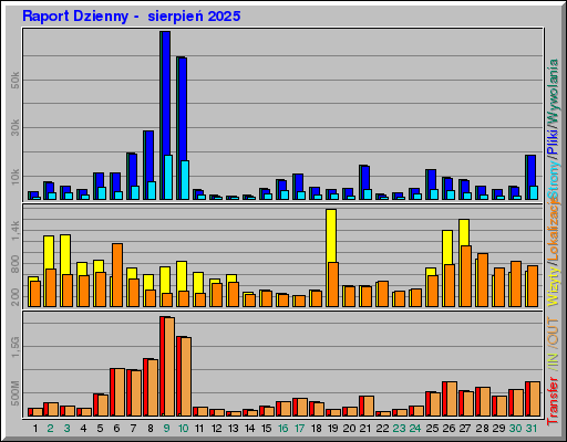 Raport Dzienny -  sierpień 2025