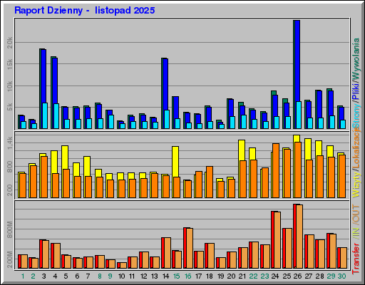Raport Dzienny -  listopad 2025